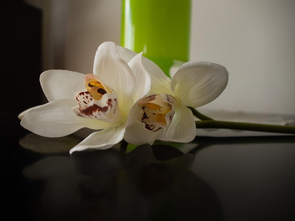 Świnoujście Green Park Apartments מראה חיצוני תמונה